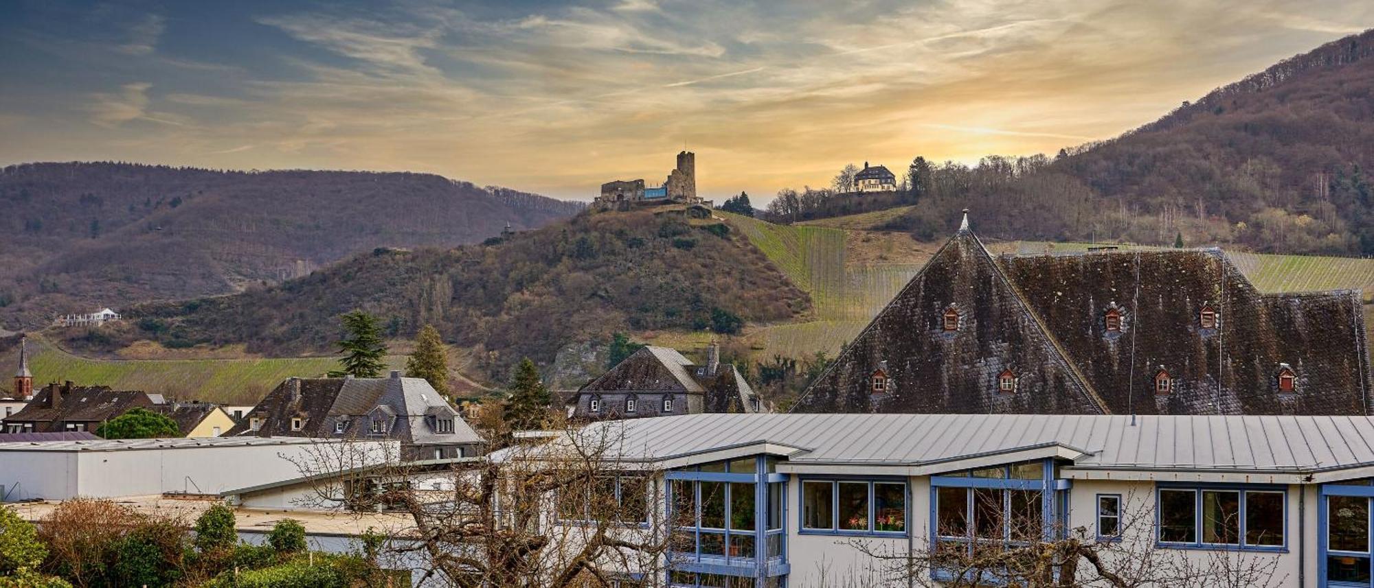 Weinquartier11 Villa Bernkastel-Kues Bagian luar foto